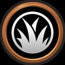 Jungle Novice